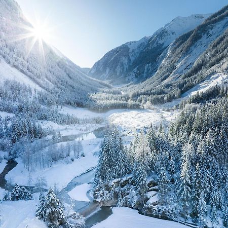 Feriengut Ottacherhof - Active Family Holiday In Central Hollersbach Hollersbach im Pinzgau Exterior foto
